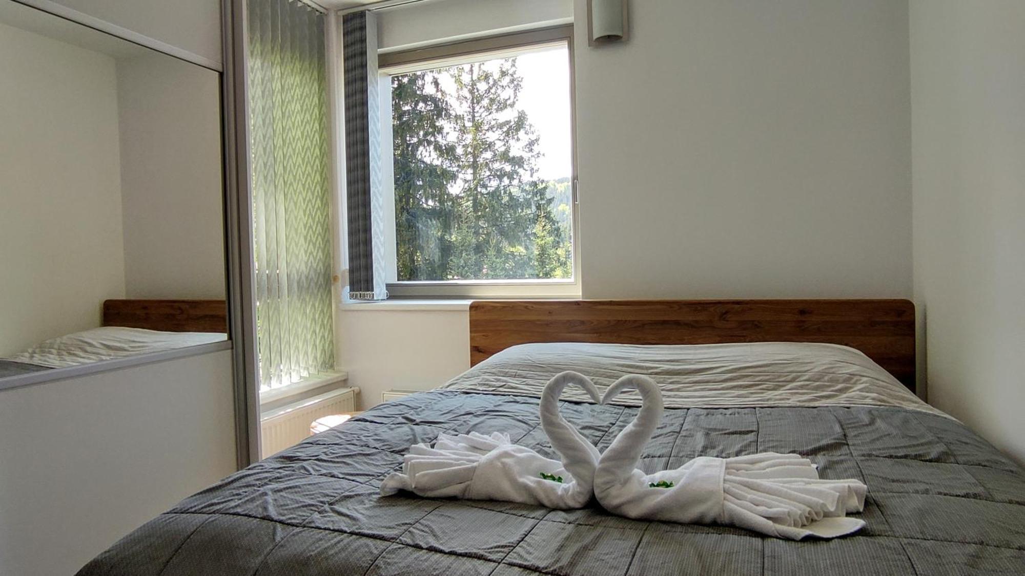 WELLNESS APARTMÁN RESIDENT HARRACHOV C308 Horský apartmán 2KK s velkou terasou a vlastním parkováním v garáži Exterior foto