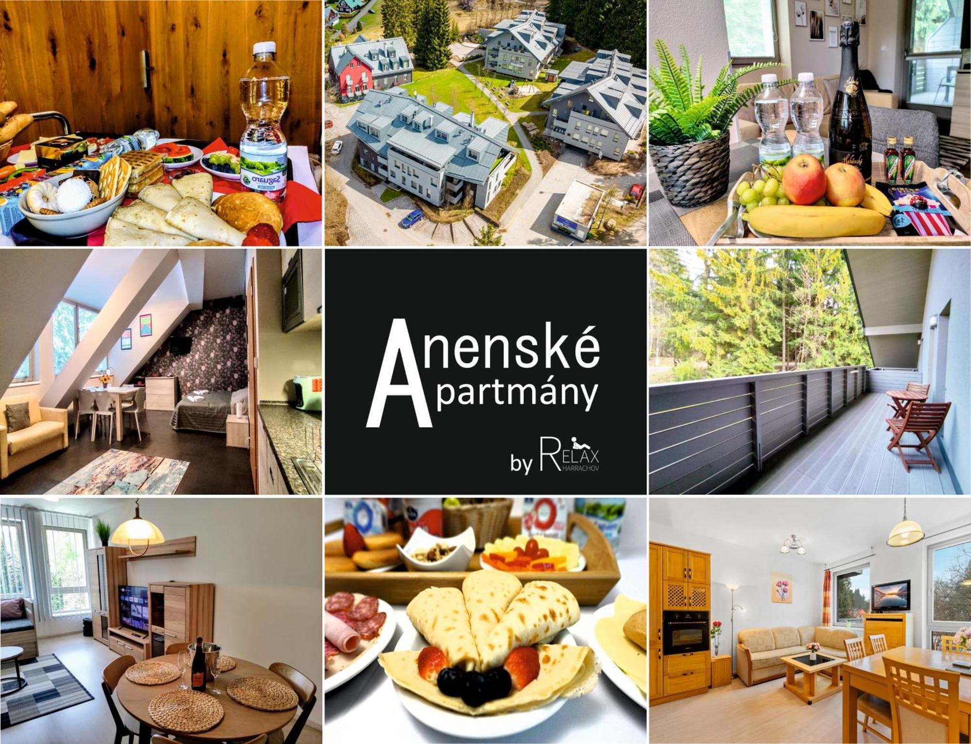 WELLNESS APARTMÁN RESIDENT HARRACHOV C308 Horský apartmán 2KK s velkou terasou a vlastním parkováním v garáži Exterior foto
